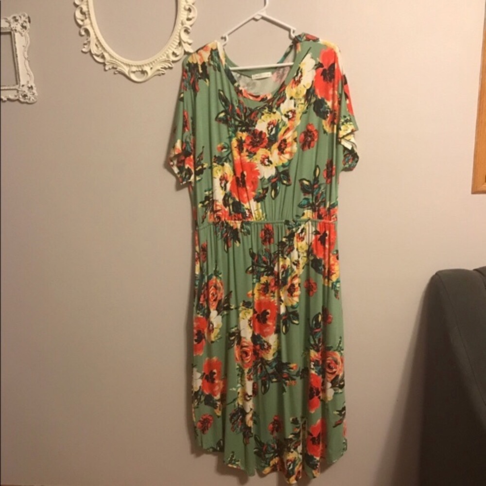 Reb & J, 3x floral dress, excellent condition!